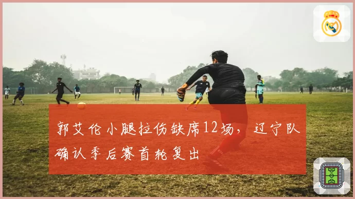 郭艾伦小腿拉伤缺席12场，辽宁队确认季后赛首轮复出
