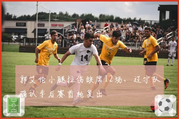 郭艾伦小腿拉伤缺席12场，辽宁队确认季后赛首轮复出