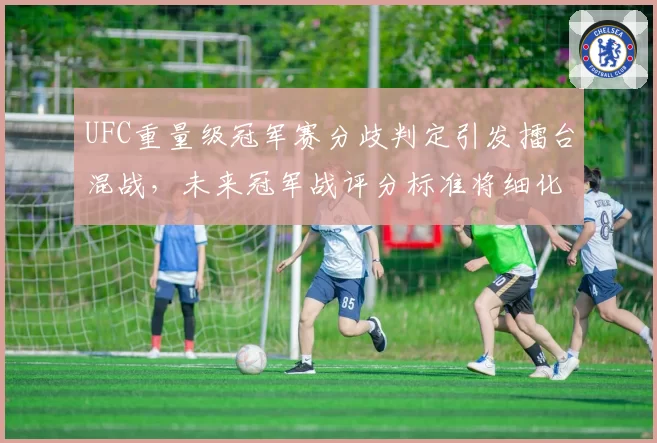 UFC重量级冠军赛分歧判定引发擂台混战，未来冠军战评分标准将细化？